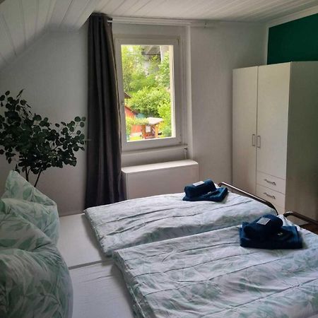 Hotel - Haus Biasca Gurtnellen Екстериор снимка
